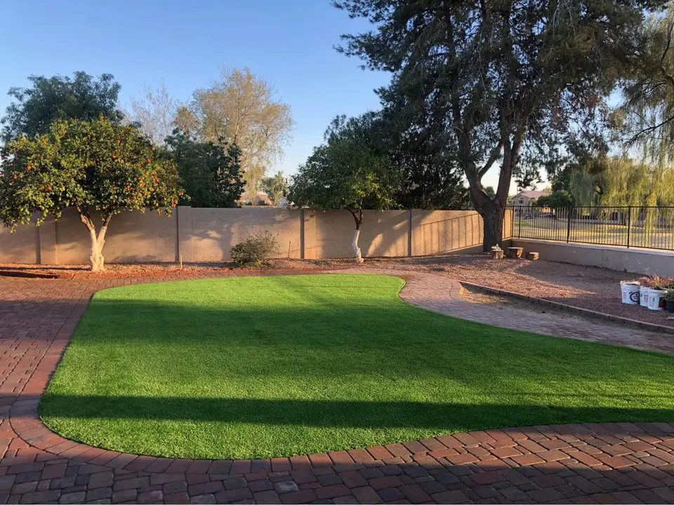 A backyard in Queen Creek AZ with neatly groomed green grass surrounded by a brick patio. Two trees with lush foliage stand along a beige wall, which separates the yard from an adjacent property. The scene is well-lit, suggesting it is either early morning or late afternoon.