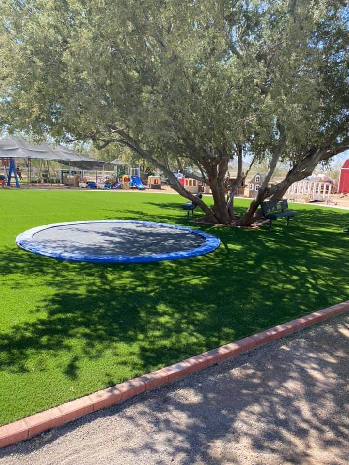 A lush green playground in Queen Creek features a large sunken trampoline beneath a sprawling tree. Benches are positioned nearby, offering seating in the shade. In the background, there are various playground structures and a small building visible, all set on expertly installed play turf.